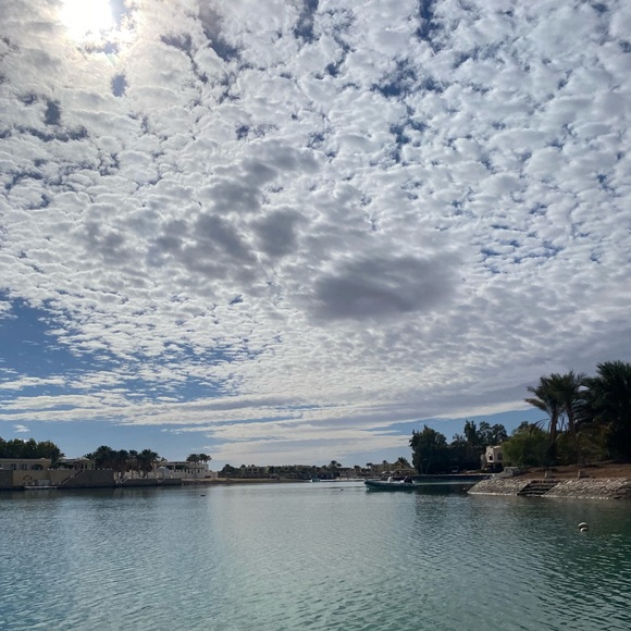 Meet your Posher, Yasmin - Picture 1 of 1